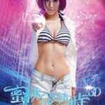 The 33D Invader (2011) The 33D Invader (2011)